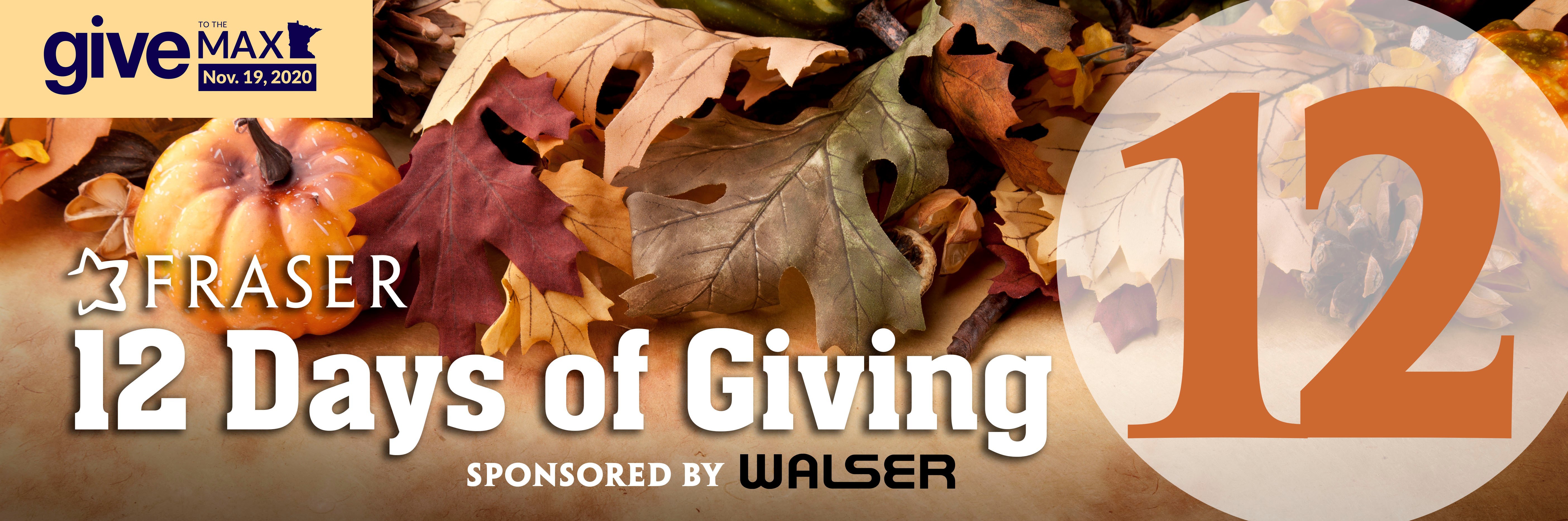 12 Days of Giving: Give to the Max Day